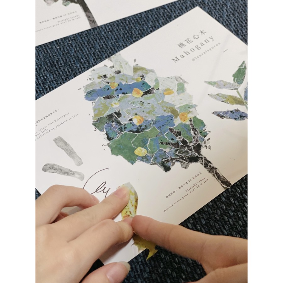 羅舒羅拉/Rousulaura